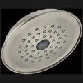 Delta Universal Showering Components Single-Setting Raincan Shower Head RP42578SS